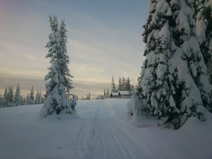 Carina som naturguide i vinterlandskap