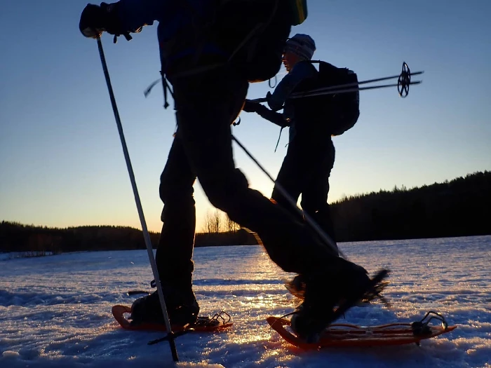Siluetter av skidåkare i solnedgång
