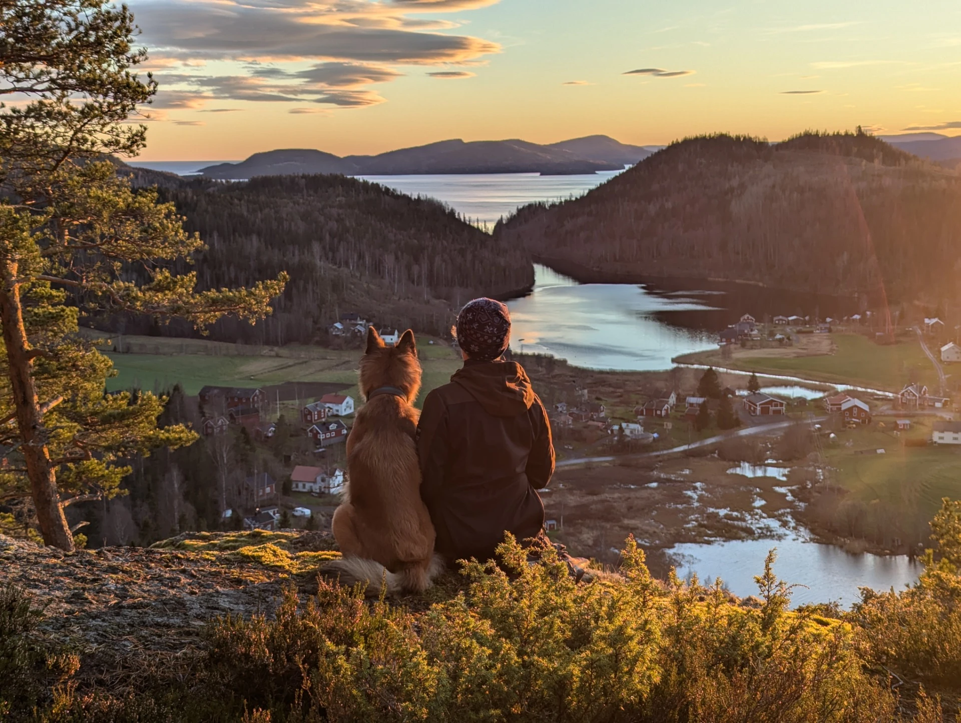 Utsikt från kajaktur